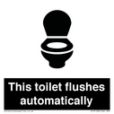 this-toilet-flushes-automatically~